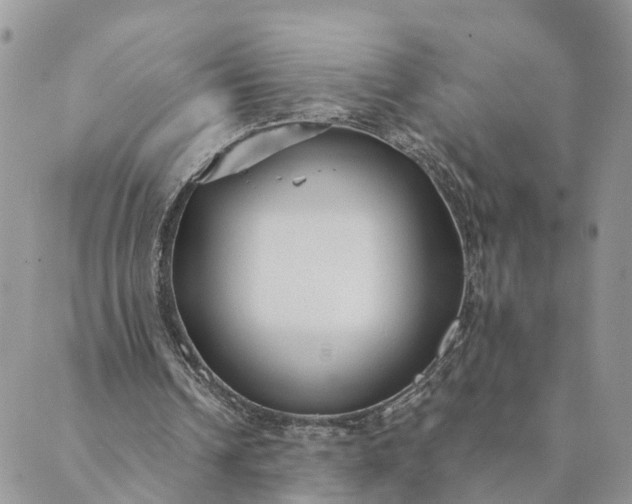 X0000089420242200706291040