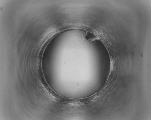 X0000089420243200706291040