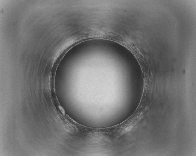 X0000089420244200706291040