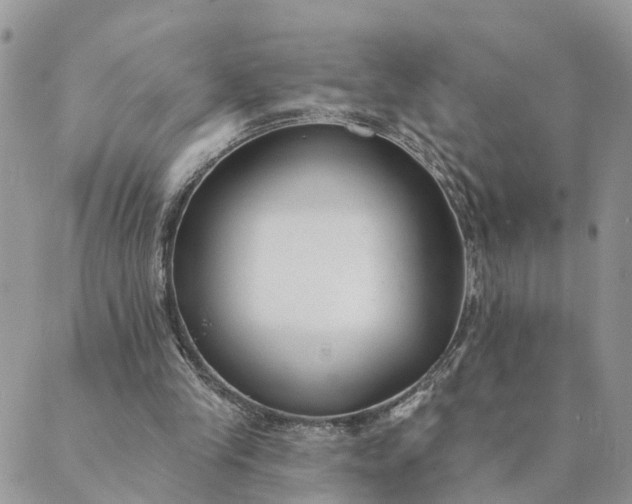 X0000089420245200706291040