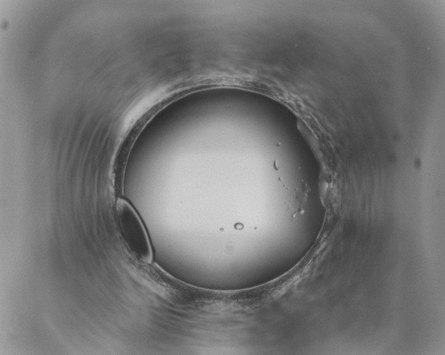 X0000089420246200706291040