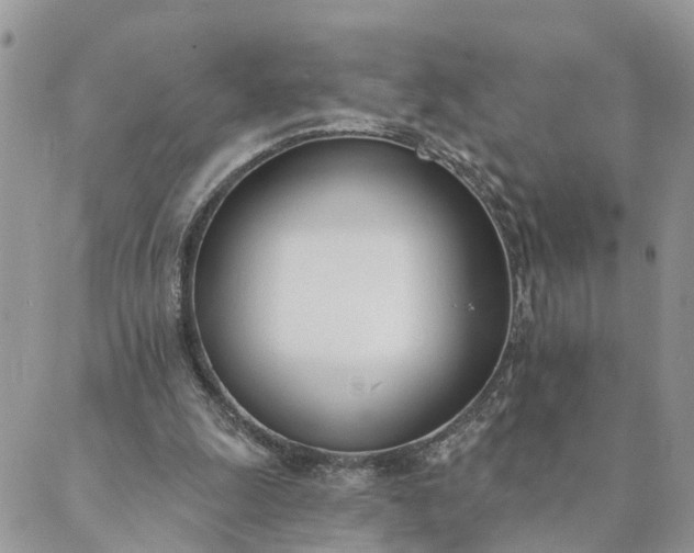 X0000089420247200706291040