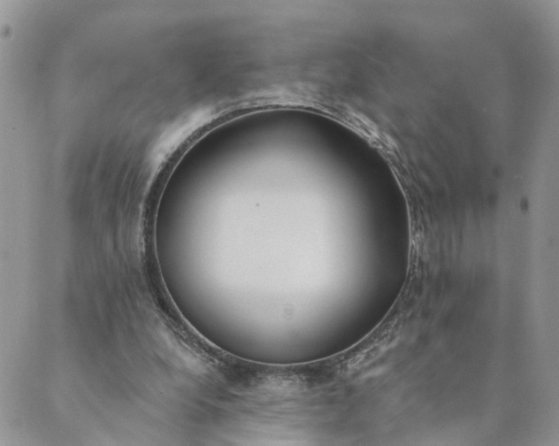 X0000089420248200706291040