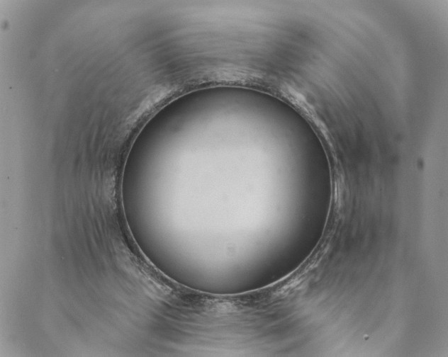 X0000089420249200706291040