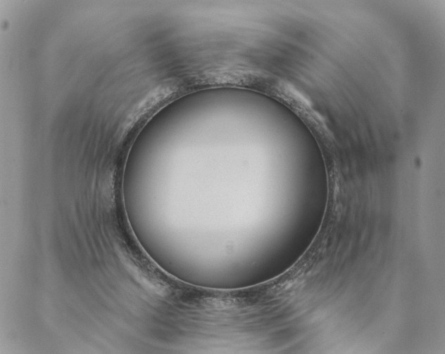 X0000089420250200706291040