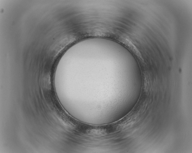 X0000089420251200706291040