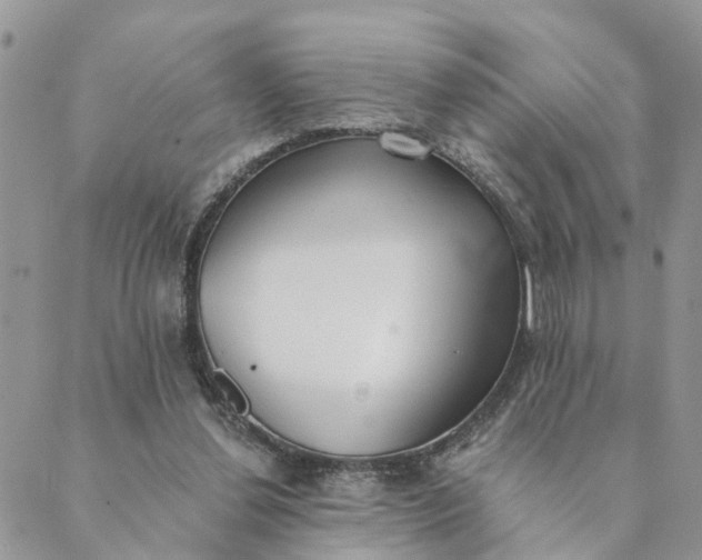 X0000089420252200706291040