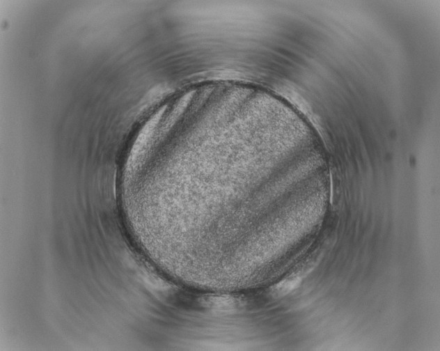 X0000089420253200706291040