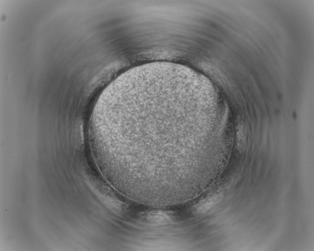 X0000089420254200706291040