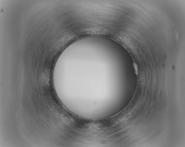 X0000089420255200706291040