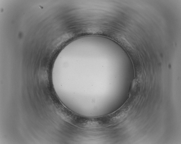 X0000089420256200706291040