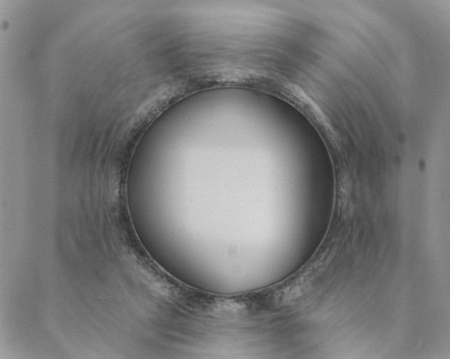 X0000089420257200706291040