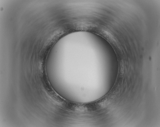 X0000089420258200706291040