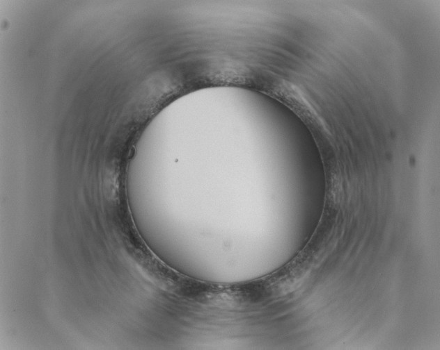 X0000089420259200706291040