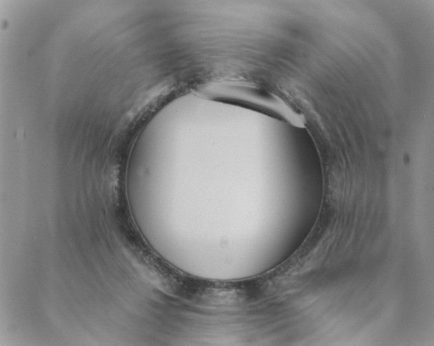 X0000089420260200706291040