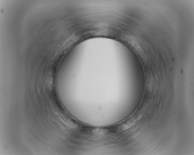 X0000089420261200706291040