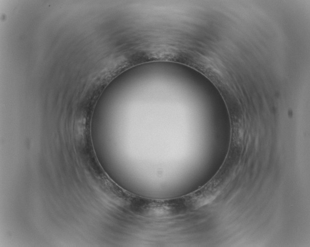 X0000089420263200706291040