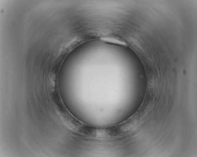 X0000089420264200706291040