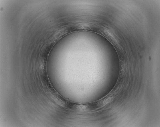 X0000089420265200706291040