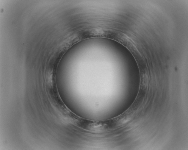 X0000089420267200706291040