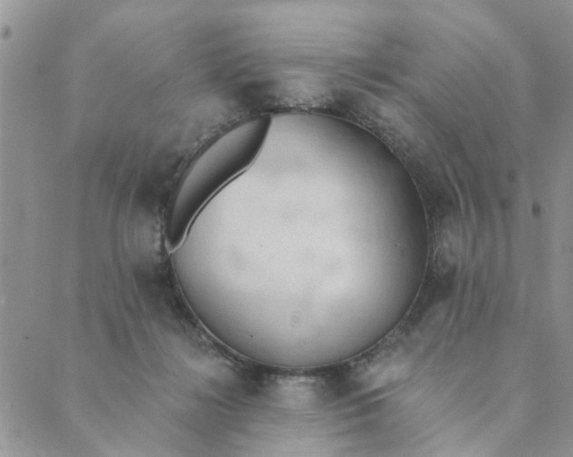 X0000089420268200706291040