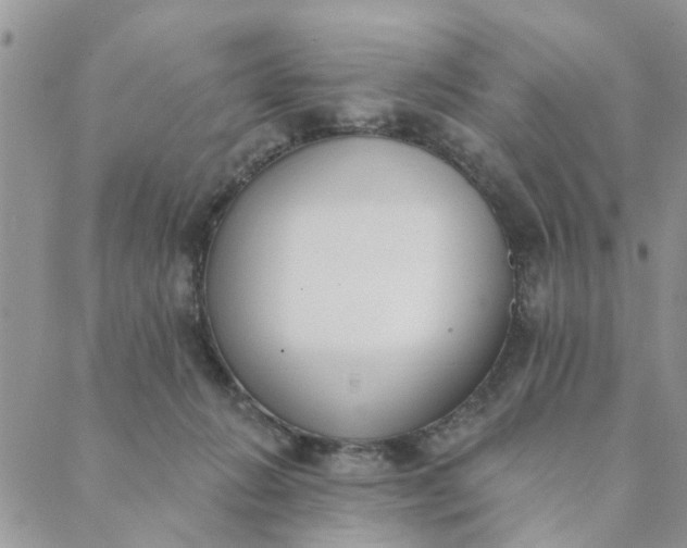 X0000089420270200706291040