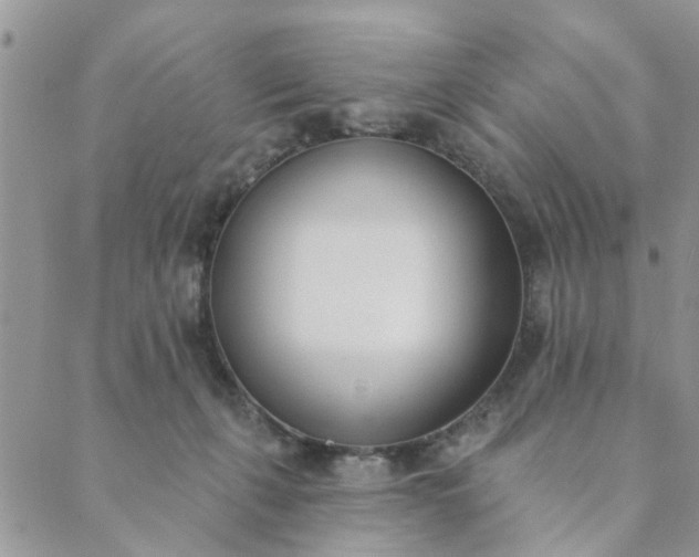 X0000089420271200706291040