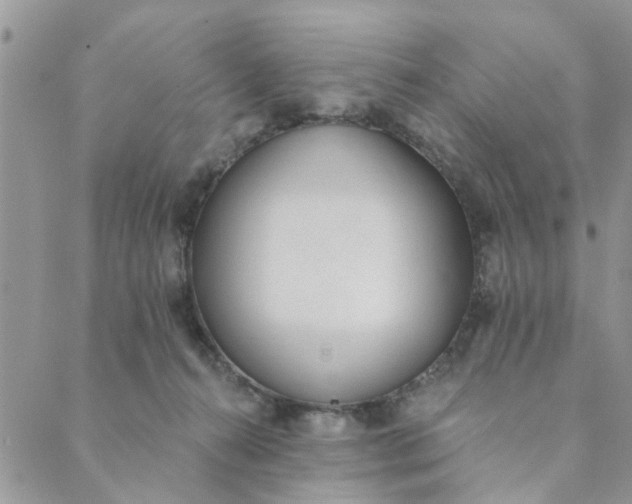 X0000089420272200706291040