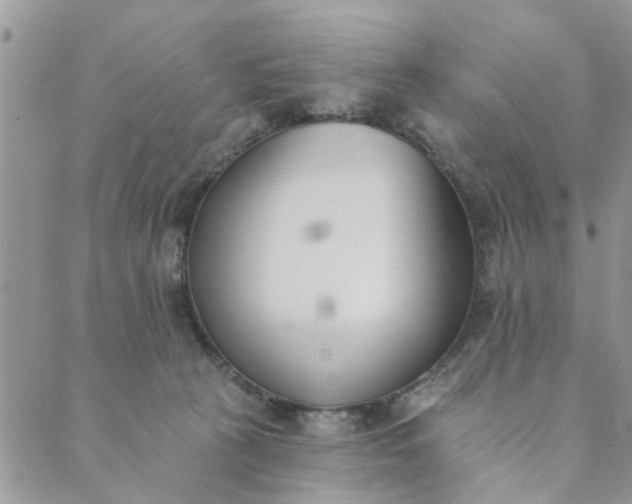 X0000089420273200706291040