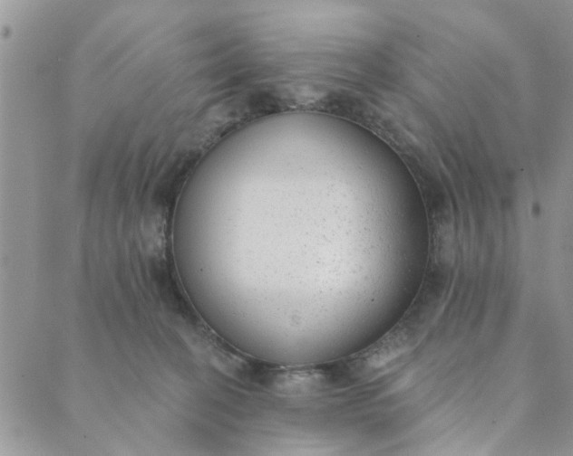 X0000089420274200706291040