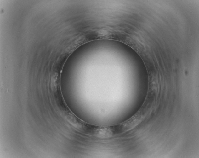 X0000089420275200706291040