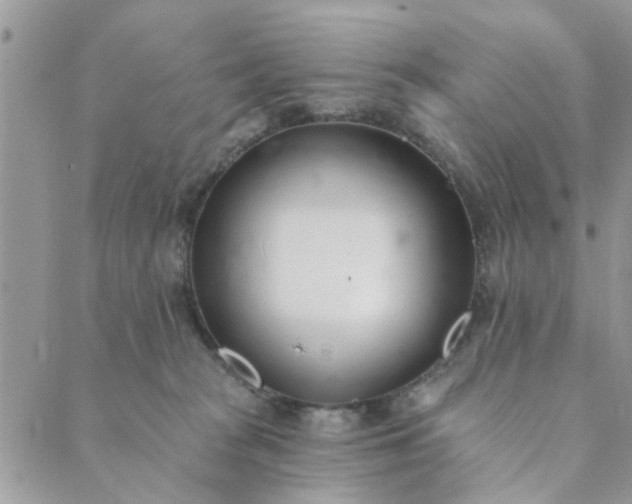 X0000089420277200706291040