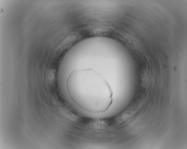 X0000089420278200706291040