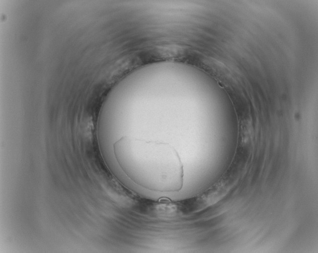 X0000089420279200706291040