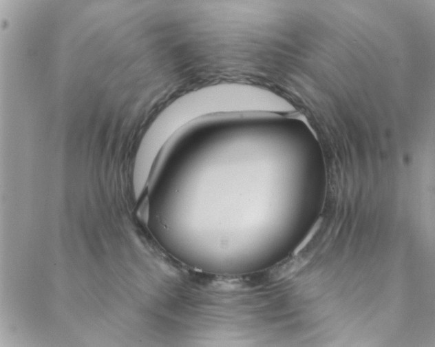 X0000089420280200706291040