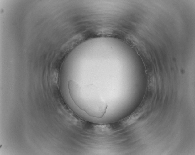 X0000089420281200706291040