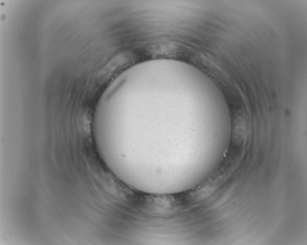 X0000089420282200706291040