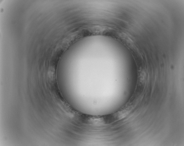 X0000089420283200706291040