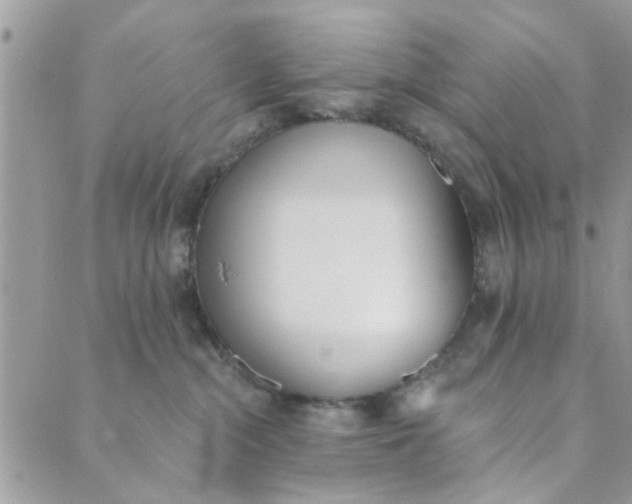 X0000089420284200706291040