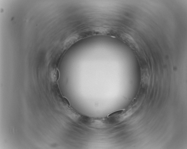 X0000089420285200706291040