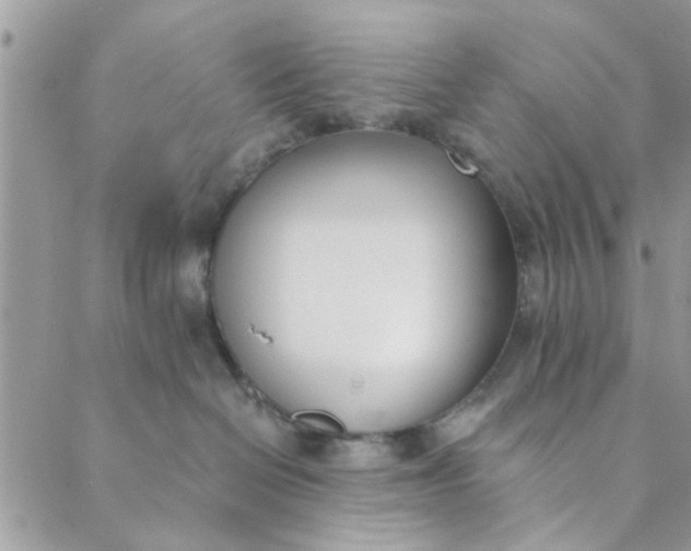 X0000089420286200706291040