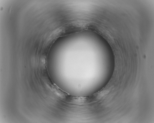 X0000089420288200706291040