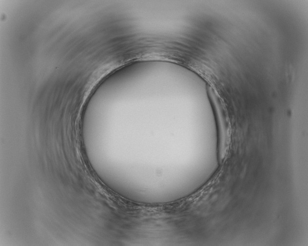 X0000089420289200706291040