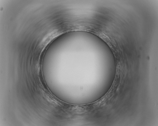 X0000089420290200706291040