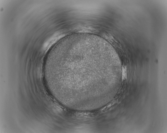 X0000089420291200706291040