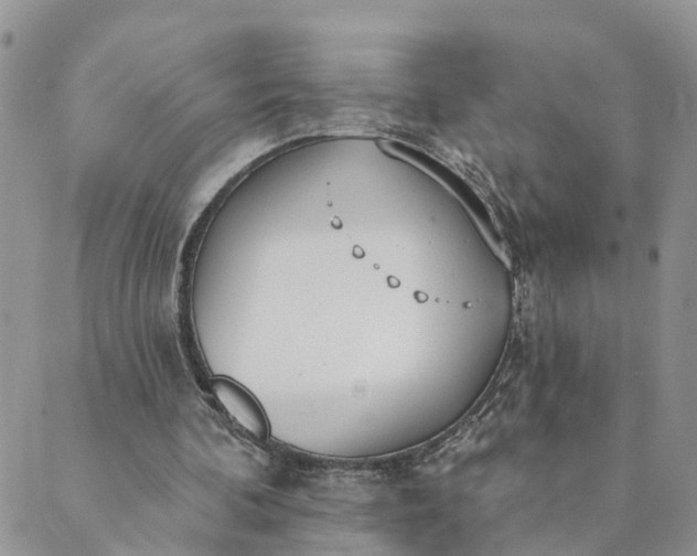 X0000089420292200706291040