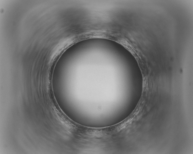 X0000089420293200706291040