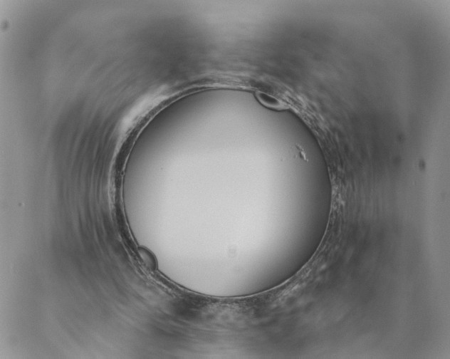 X0000089420294200706291040