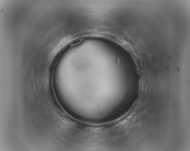 X0000089420295200706291040