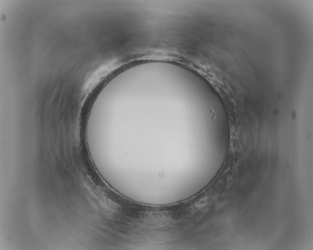 X0000089420296200706291040